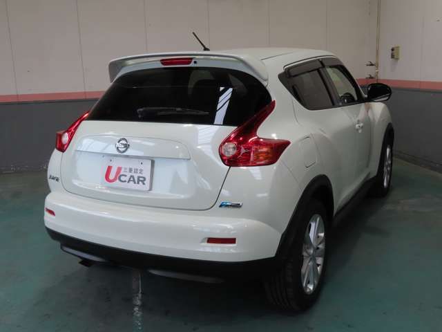 Nissan JUKE 2012-01 12005-1