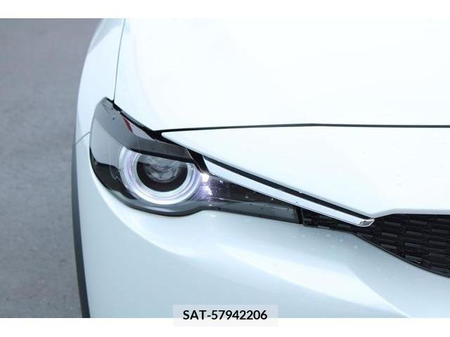 Mazda MX-30 2021-02 302255-10