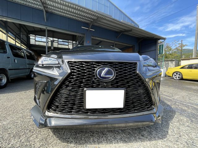 Lexus NX 2018-03 16166-7