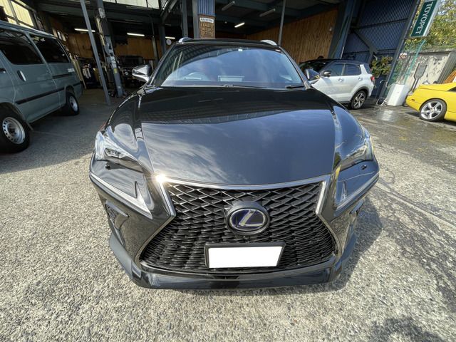 Lexus NX 2018-03 16166-8