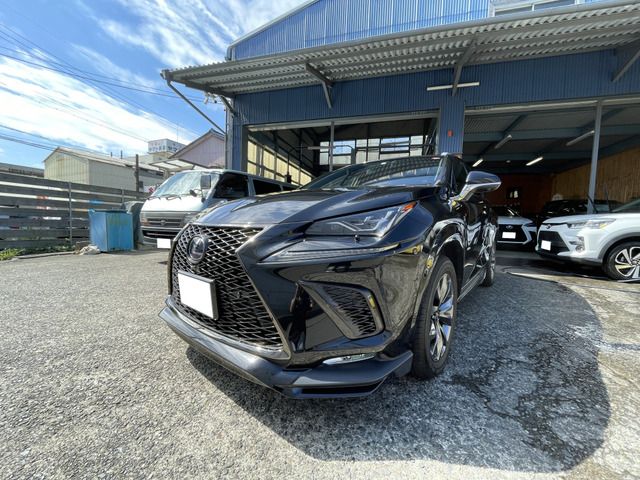 Lexus NX 2018-03 16166-0