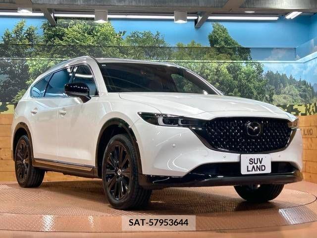 Mazda CX-8 2023-10 266226-16