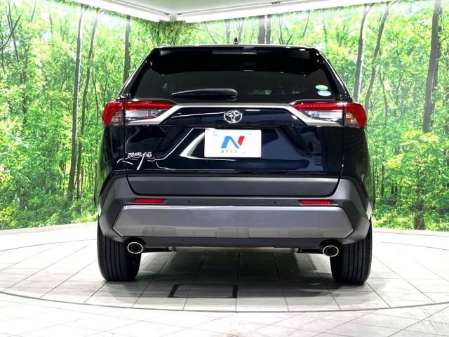 Toyota RAV4 2019-12 9126-15