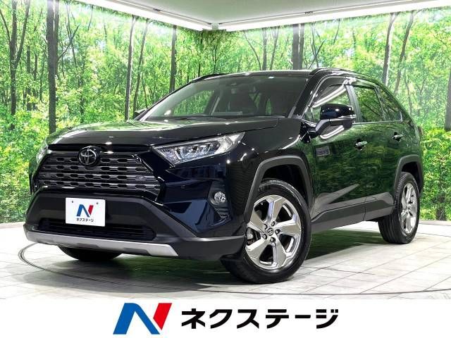 Toyota RAV4 2019-12 9126-0