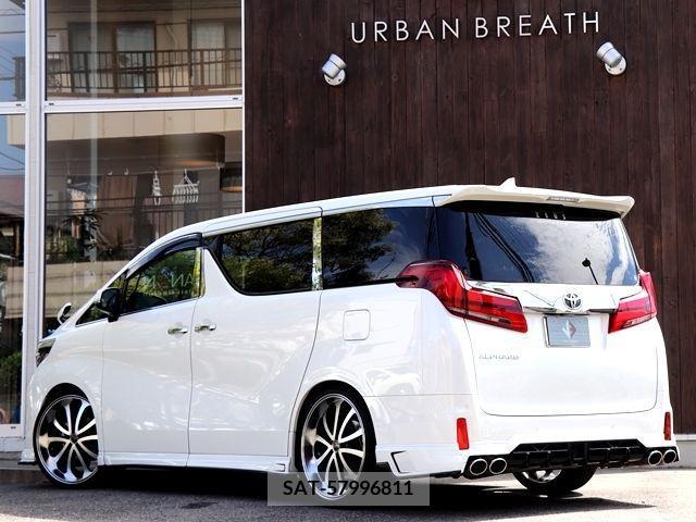 Toyota ALPHARD 2020-10 202816-2