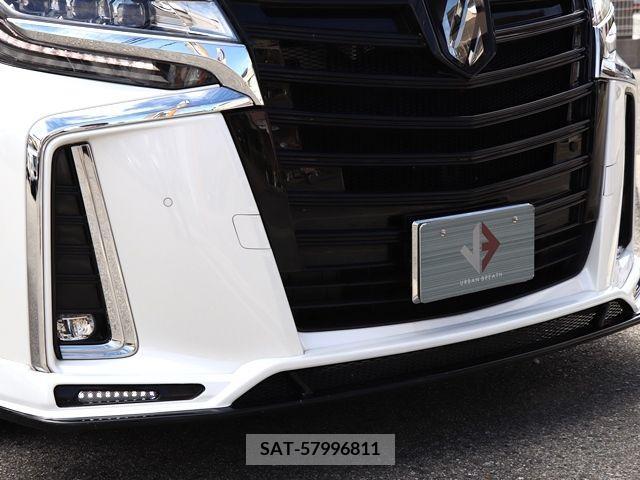 Toyota ALPHARD 2020-10 202816-4