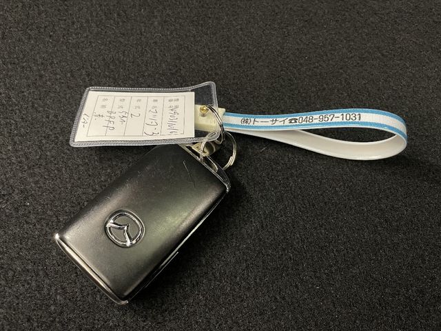 Mazda MAZDA3 2020-02 181593-26