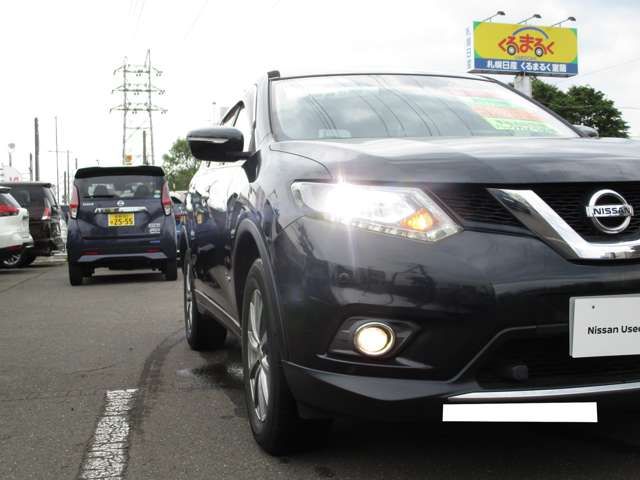 Nissan X-TRAIL 2016-06 22425-5