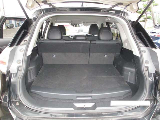 Nissan X-TRAIL 2016-06 22425-8