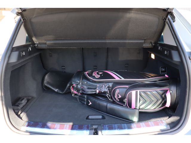 Bmw X1 2017-01 184088-19