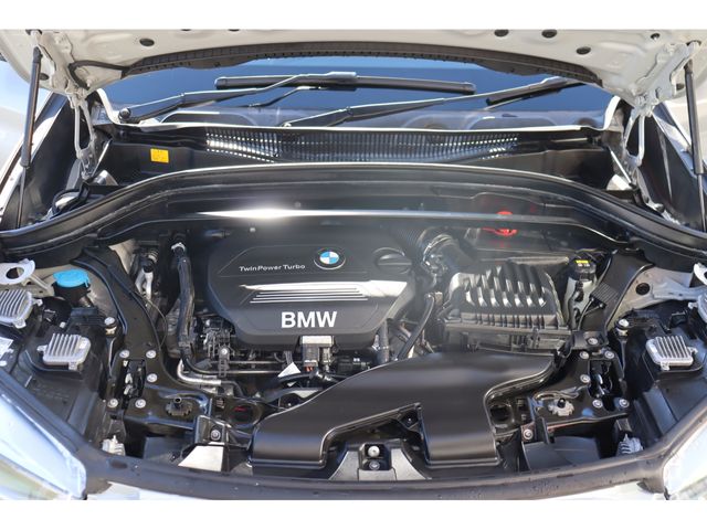 Bmw X1 2017-01 184088-21