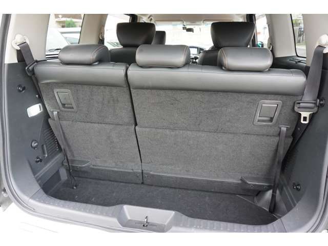 Nissan ELGRAND 2016-11 8548-18