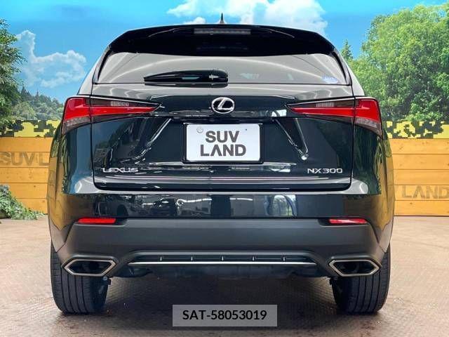Lexus NX 2020-03 275636-15