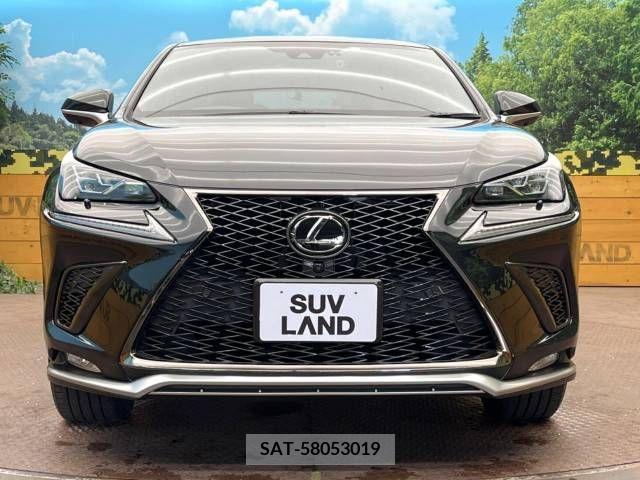 Lexus NX 2020-03 275636-14