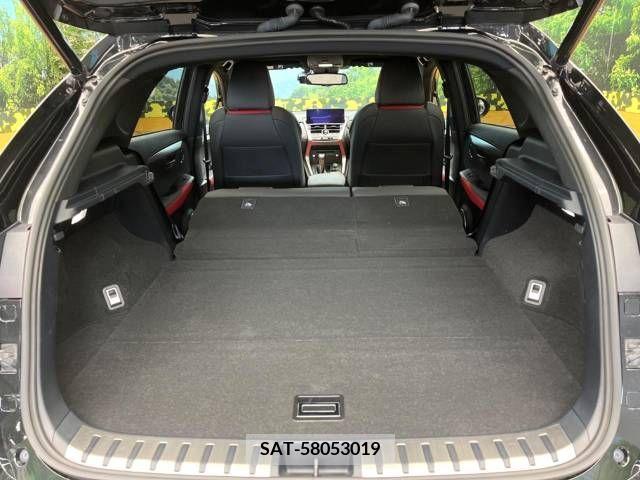 Lexus NX 2020-03 275636-11