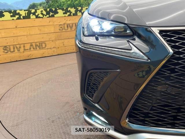 Lexus NX 2020-03 275636-12