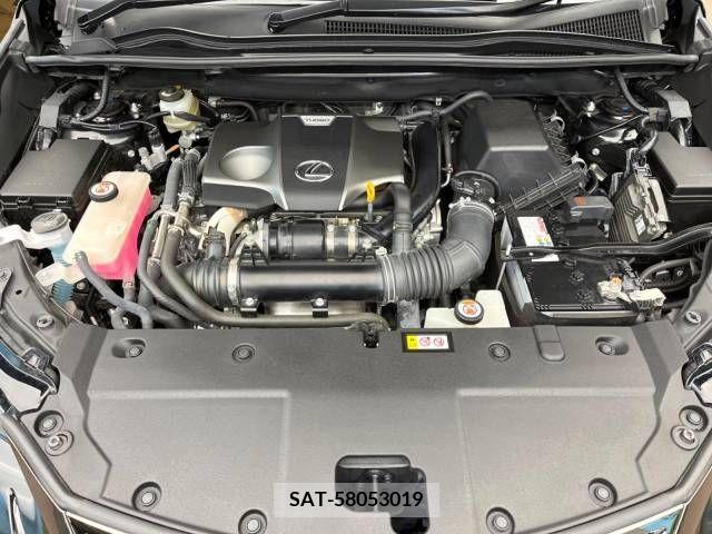 Lexus NX 2020-03 275636-18