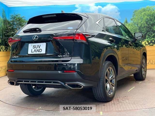 Lexus NX 2020-03 275636-17