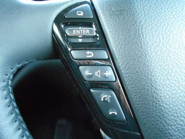 Nissan ELGRAND 2021-03 27931-11