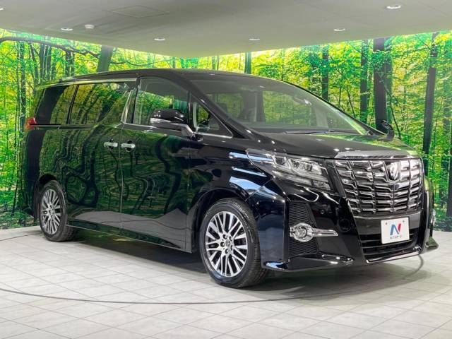 Toyota ALPHARD 2017-05 21296-17
