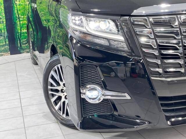 Toyota ALPHARD 2017-05 21296-13