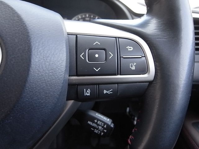 Lexus RX 2015-12 3883-10