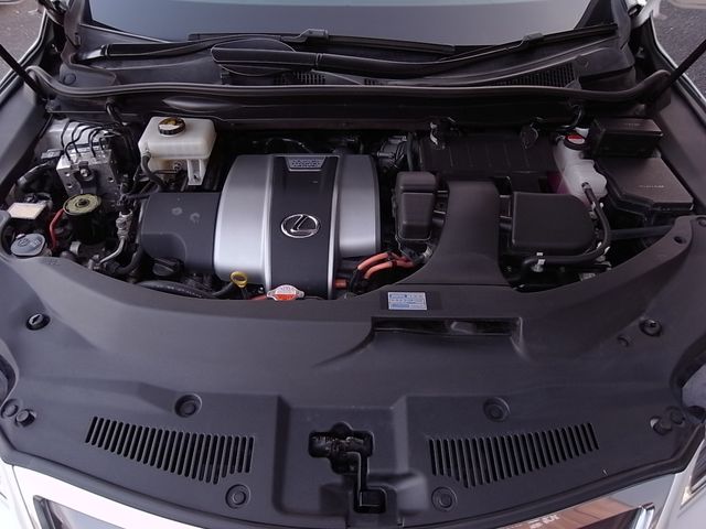 Lexus RX 2015-12 3883-18