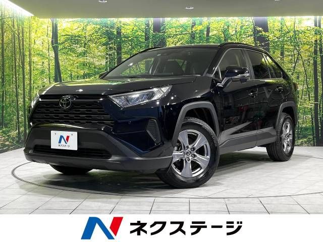 Toyota RAV4 2023-06 183127-0