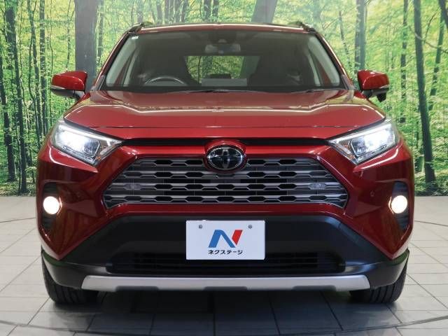 Toyota RAV4 2020-04 13781-15