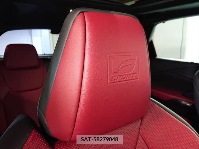 Lexus RX 2023-08 219883-9