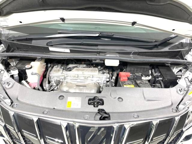 Toyota ALPHARD 2021-01 12879-18