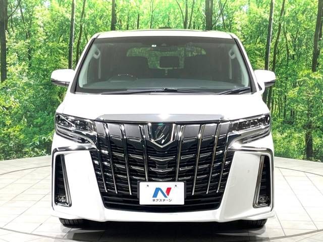 Toyota ALPHARD 2021-01 12879-14