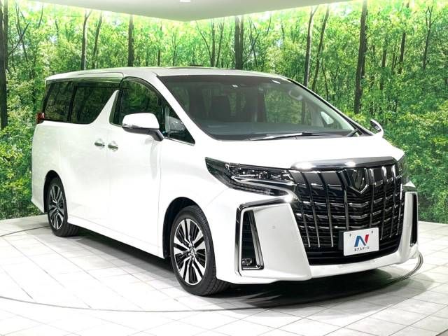 Toyota ALPHARD 2021-01 12879-16