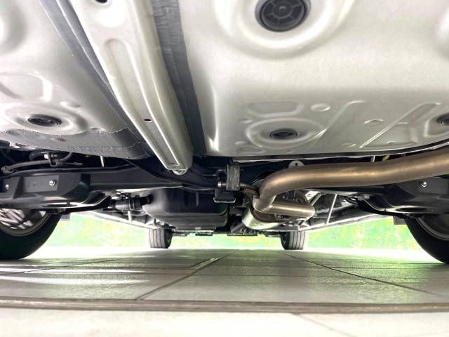 Toyota ALPHARD 2021-01 12879-19