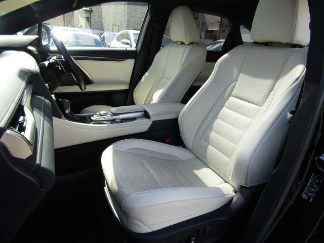 Lexus RX 2018-06 17536-16