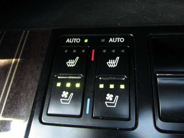Lexus RX 2018-06 17536-15