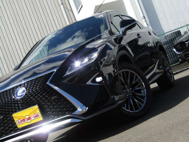 Lexus RX 2018-06 17536-1