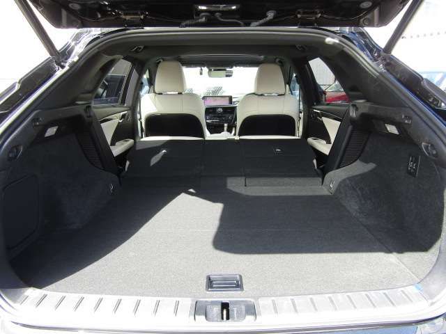 Lexus RX 2018-06 17536-8