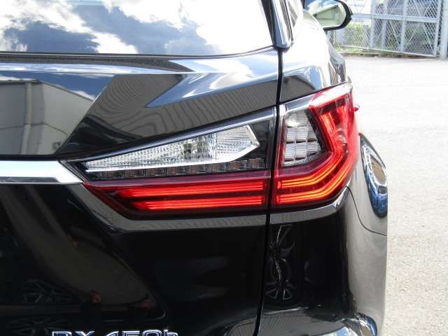 Lexus RX 2018-06 17536-7