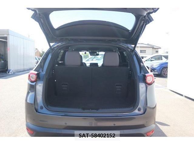 Mazda CX-8 2019-04 308594-13