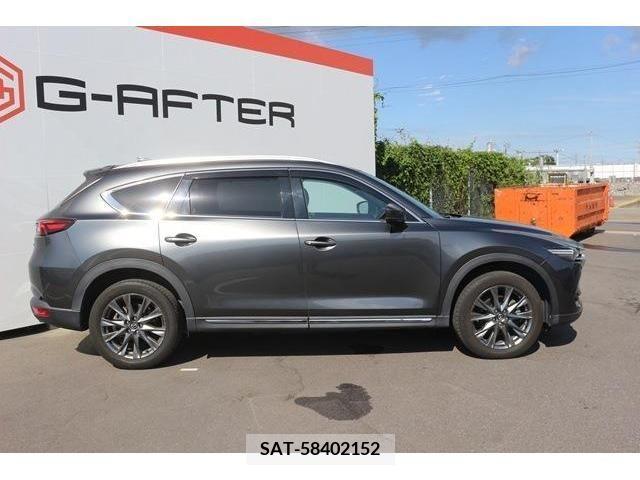 Mazda CX-8 2019-04 308594-6