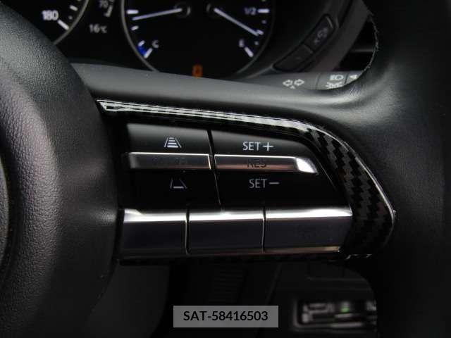 Mazda MAZDA3 2020-11 217503-10