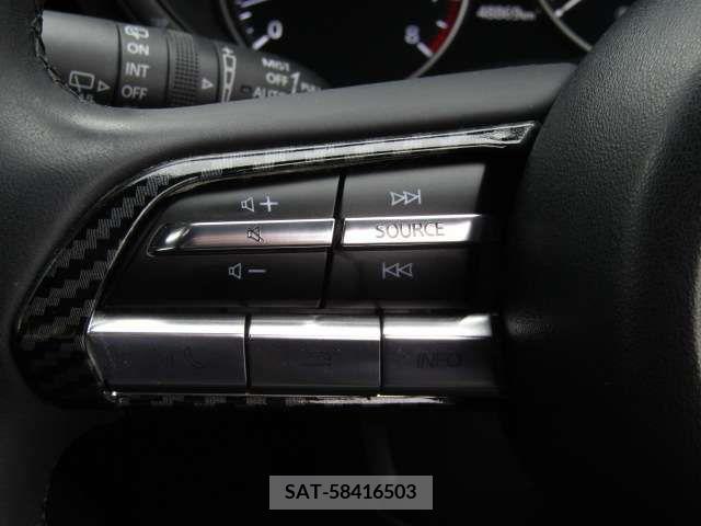 Mazda MAZDA3 2020-11 217503-14