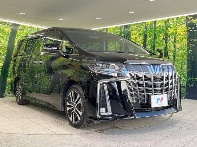 Toyota ALPHARD 2019-07 188402-16