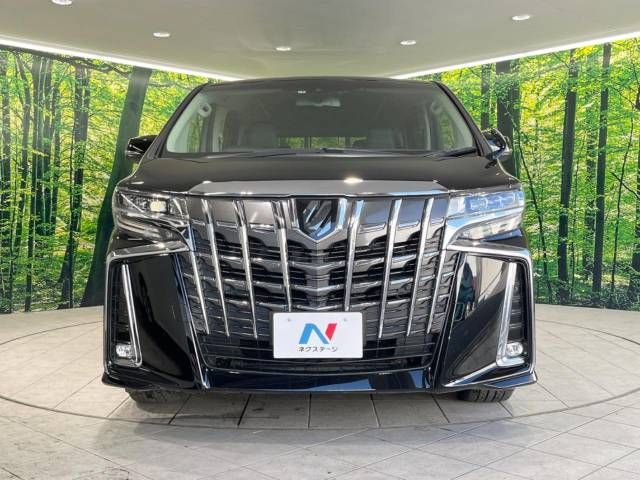 Toyota ALPHARD 2019-07 188402-14