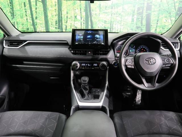 Toyota RAV4 2019-08 24891-1