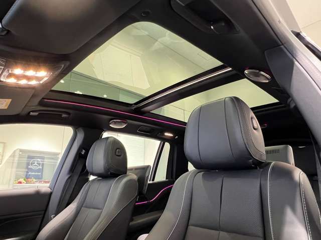 Mercedes Benz GLS-CLASS 2021-12 12958-7