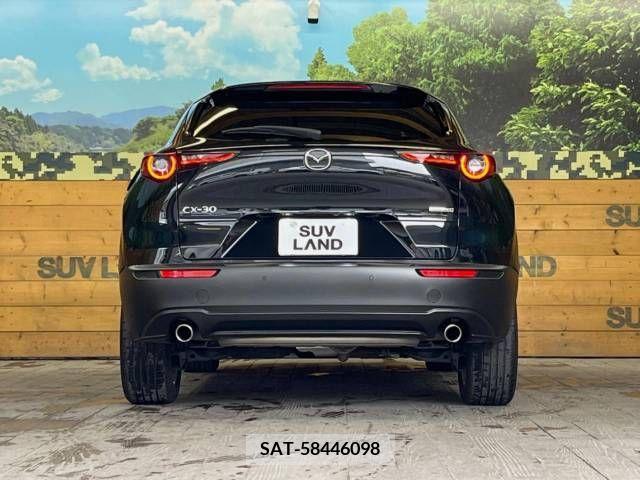 Mazda CX-30 2022-03 295583-14