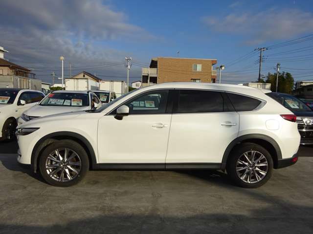 Mazda CX-8 2018-12 188989-10