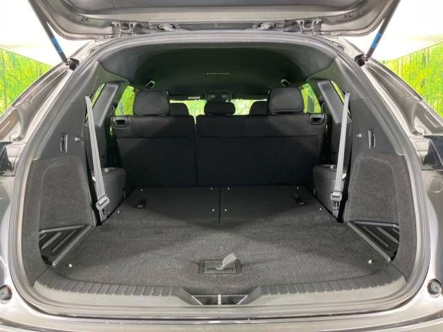 Mazda CX-8 2018-04 185759-11